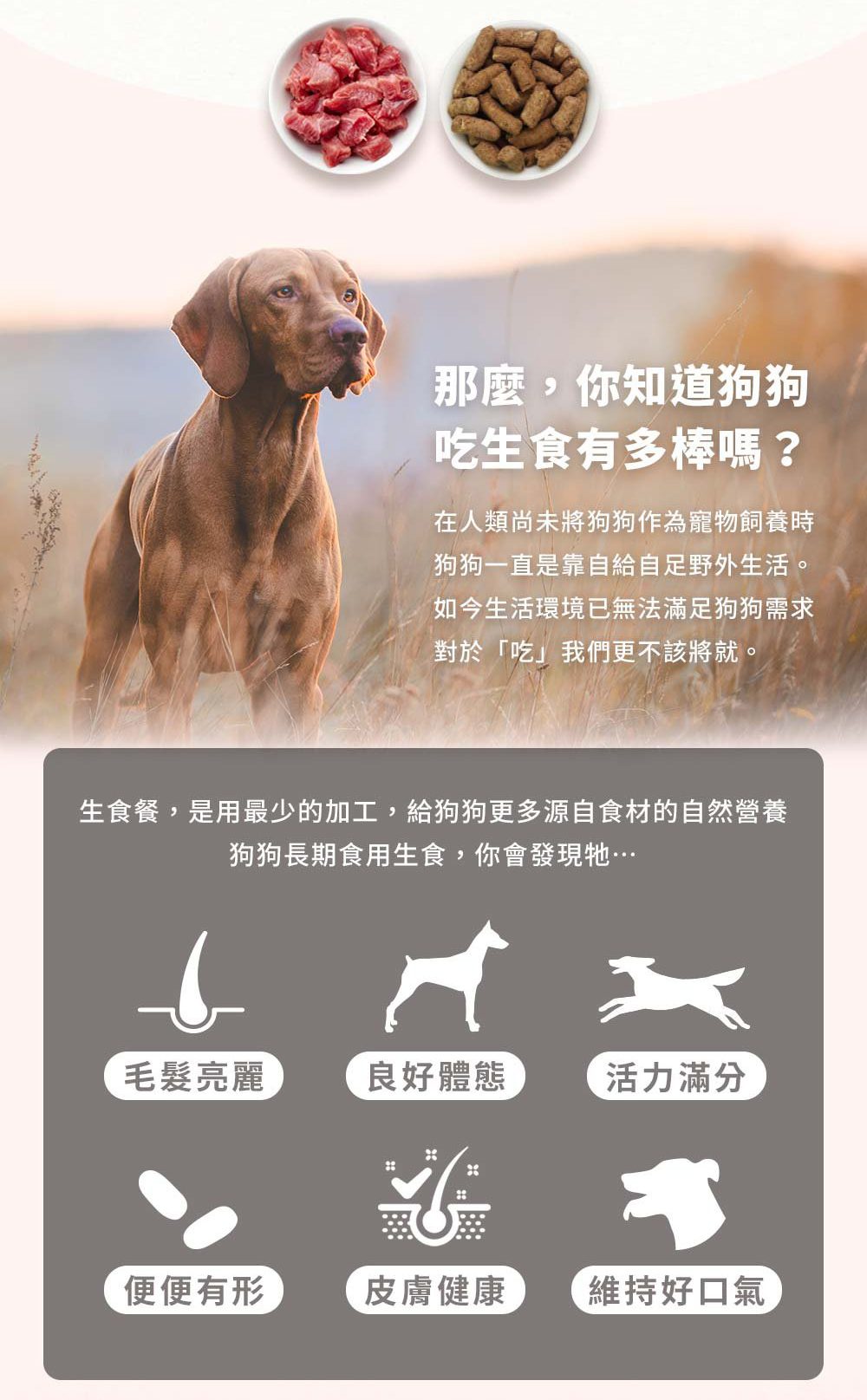 【超躍】犬用｜98%冷凍乾燥生食餐