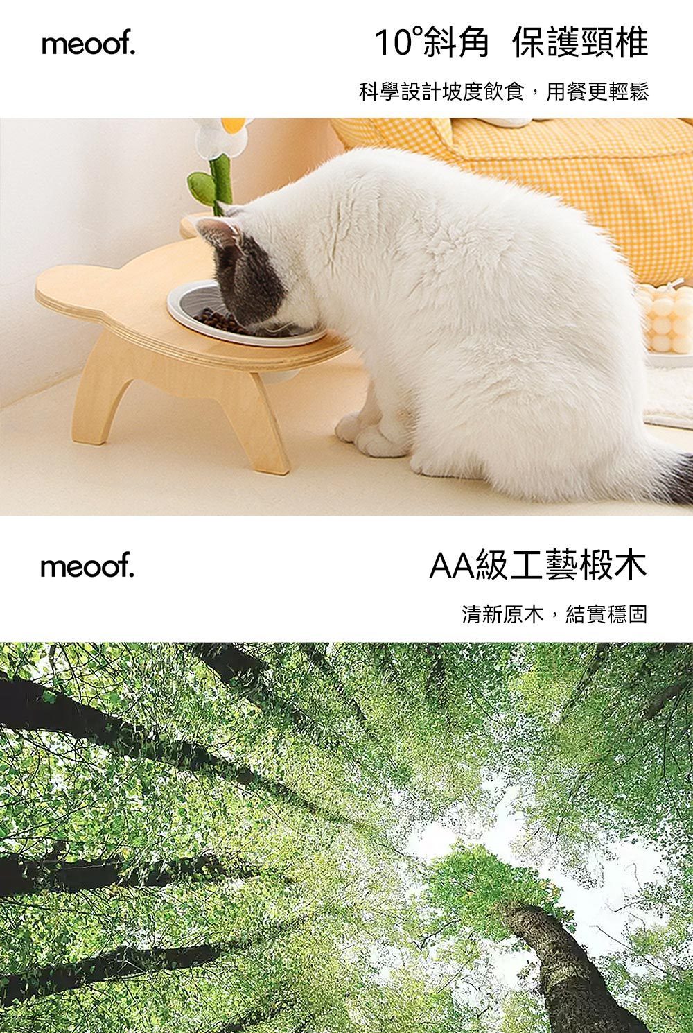 【Meoof】小熊單碗