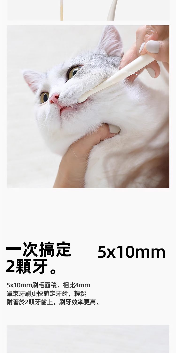 【Meoof】寵物牙刷牙膏